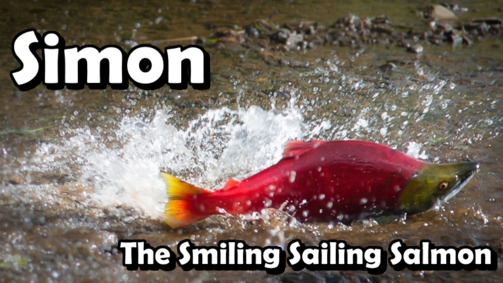 Simon the Smiling Sailing Salmon